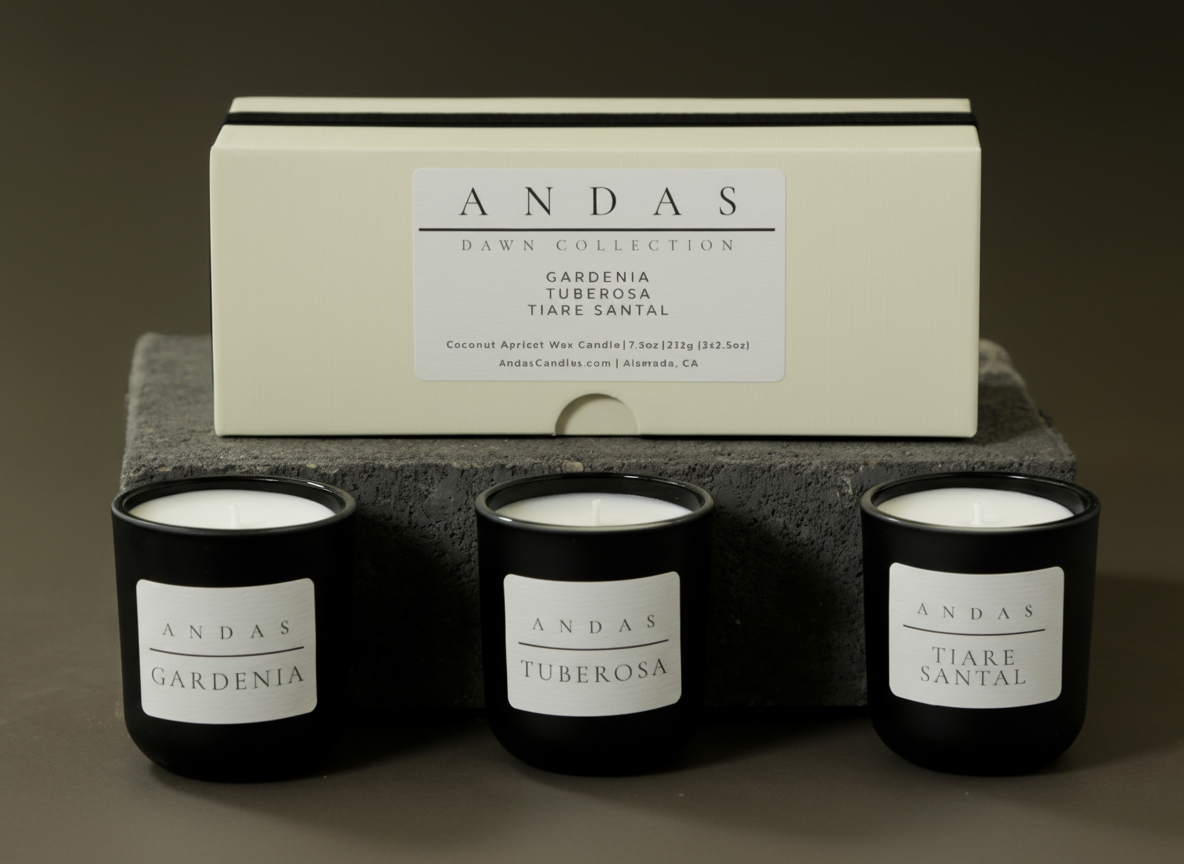 Dawn Collection Discovery Set