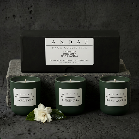 Dawn Collection Discovery Set